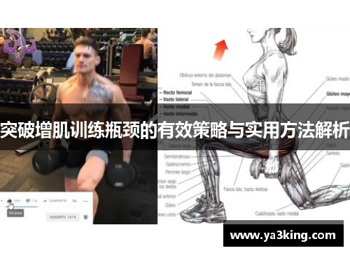 突破增肌训练瓶颈的有效策略与实用方法解析