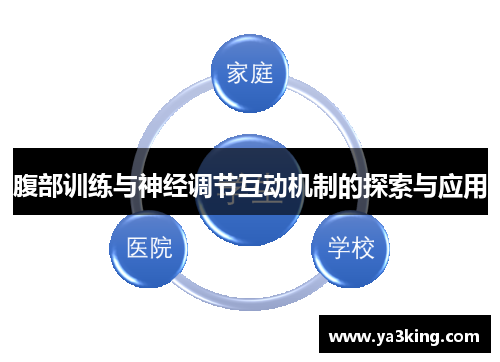 腹部训练与神经调节互动机制的探索与应用